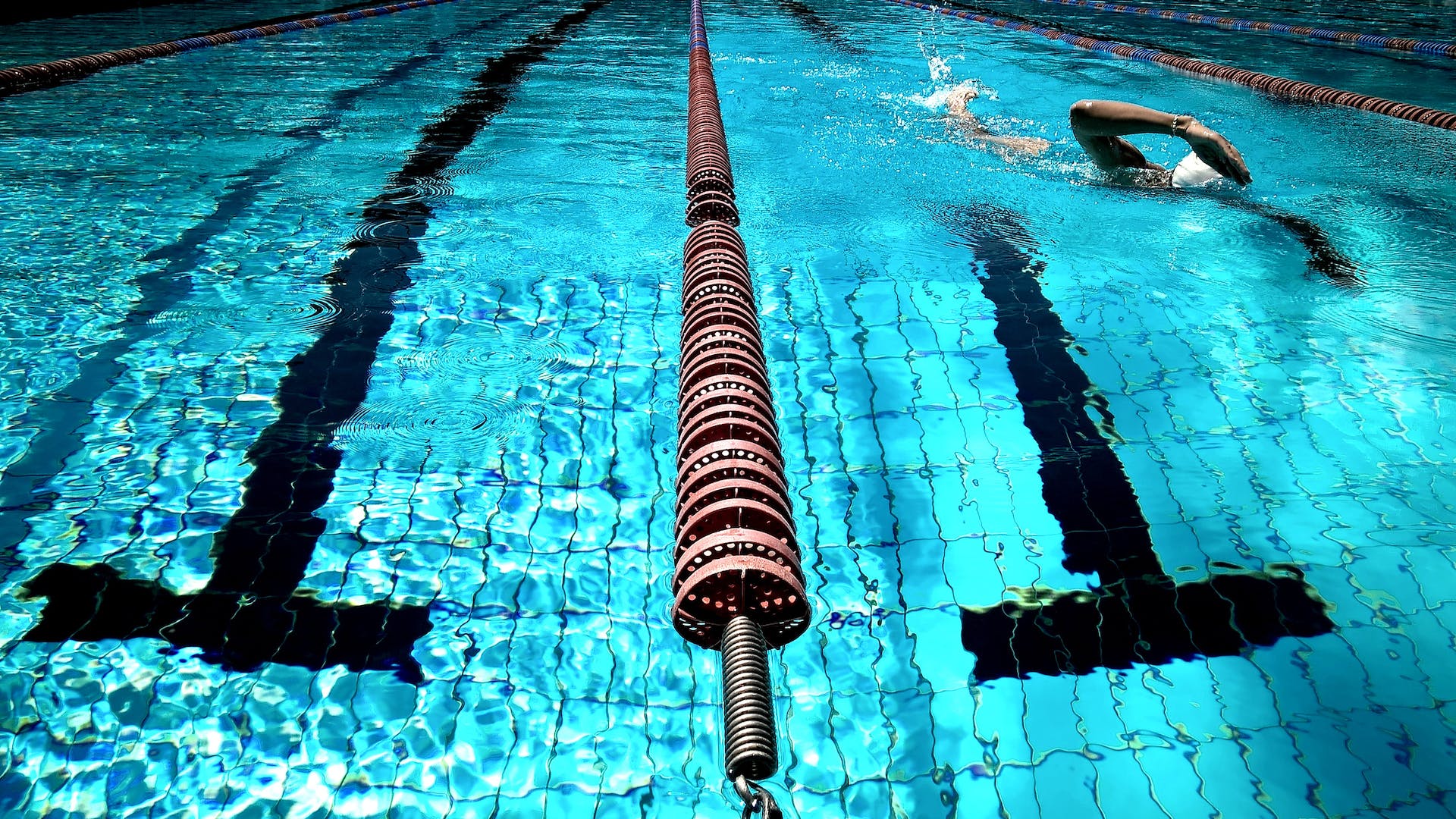 Cosas que no debes hacer en la piscina a menos que quieras ser odiado