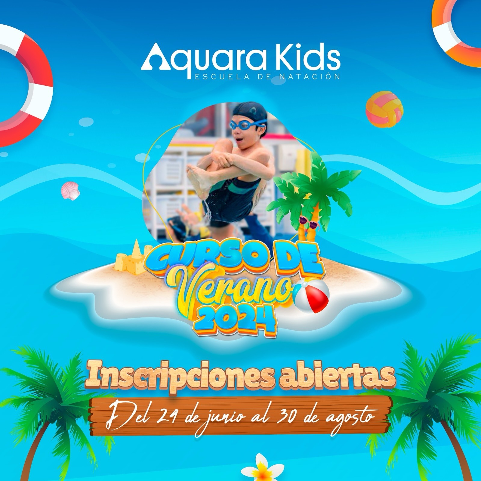 Curso de Verano 2024