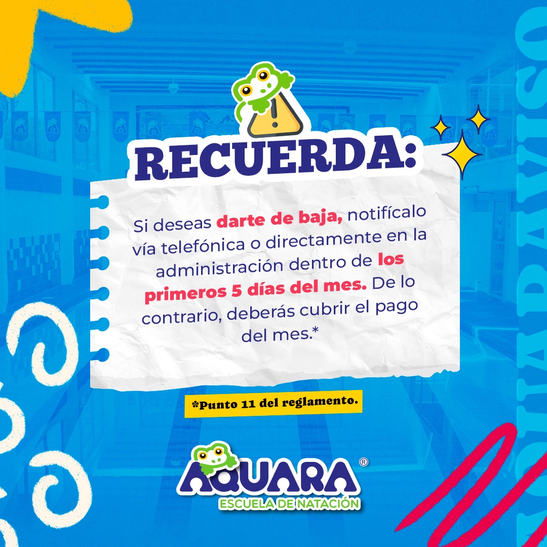 Punto 11 del Reglamento