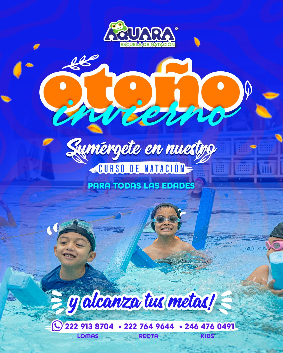 Curso de Natación, Otoño-Invierno 2025